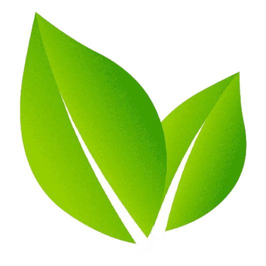 dentitoxpro-en.us favicon